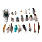 Оптовая продажа, натуральные перья фазана павлина для рукоделия, свадебное украшение для дома, украшения для творчества