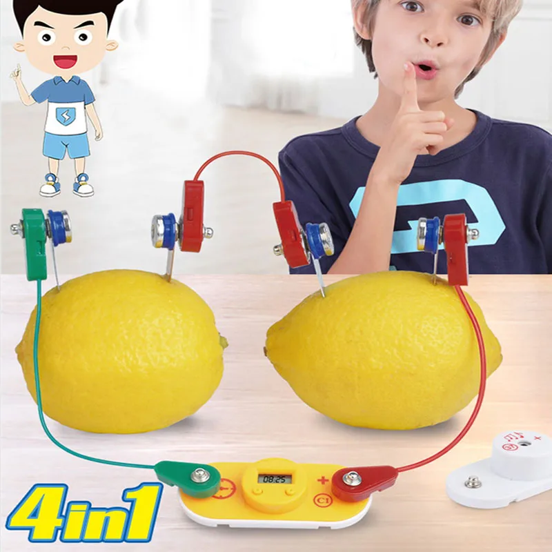 

DIY научный обучающий паровой фруктовый аккумулятор, игрушечный набор