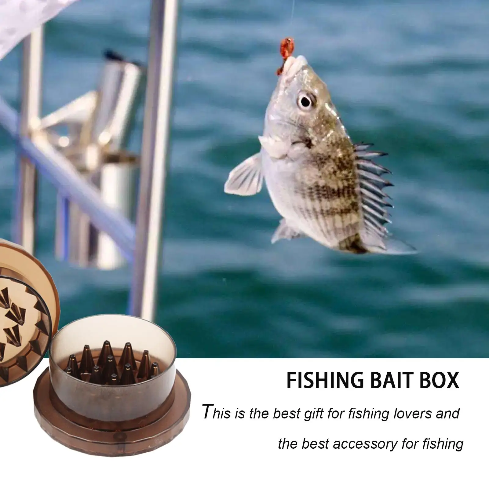 

Plastic Break Lures Box Practical Carp Fishing Baits Crusher Grinder Box Fodder Tool Carp Bait Making Fishing Accessories