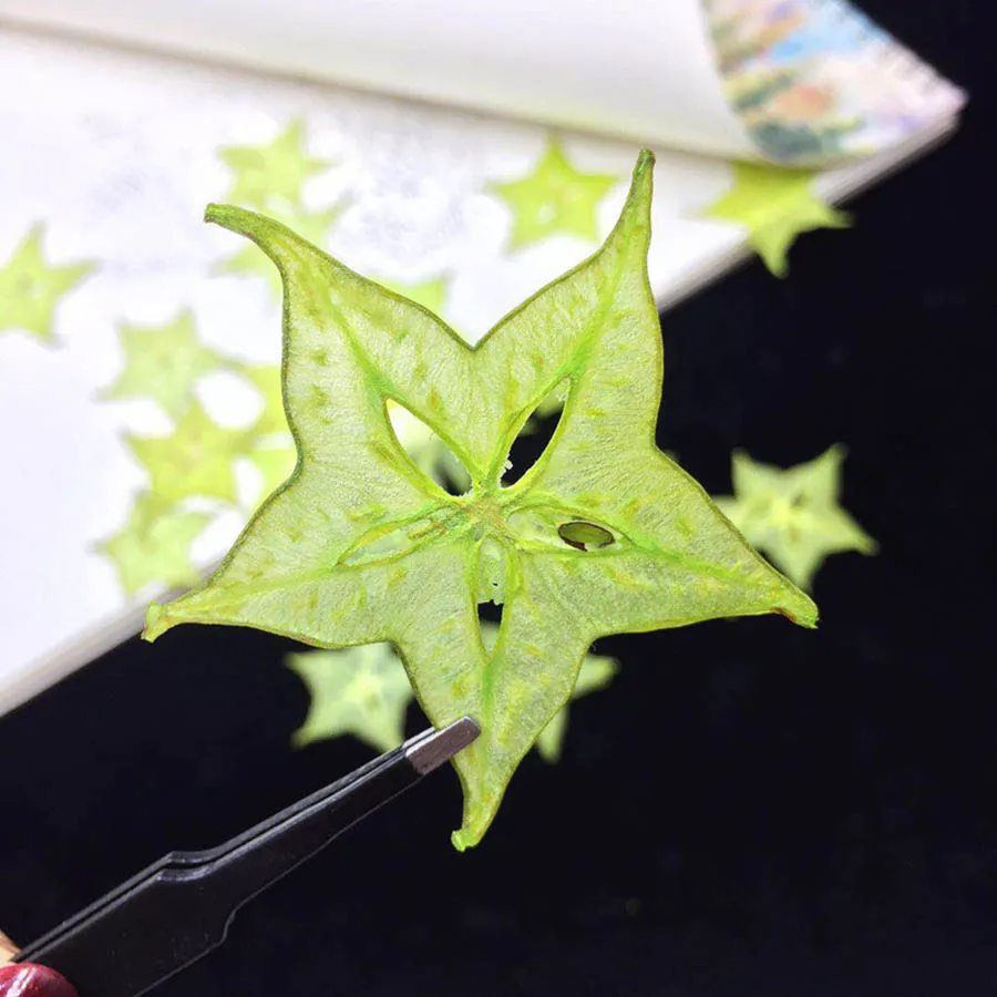 

5pcs Dried Pressed Exopy Dyed Carambola Fruits Slices Plant Herbarium For Photo Frame Phone Case Bookmark Scrapbook Craft DIY