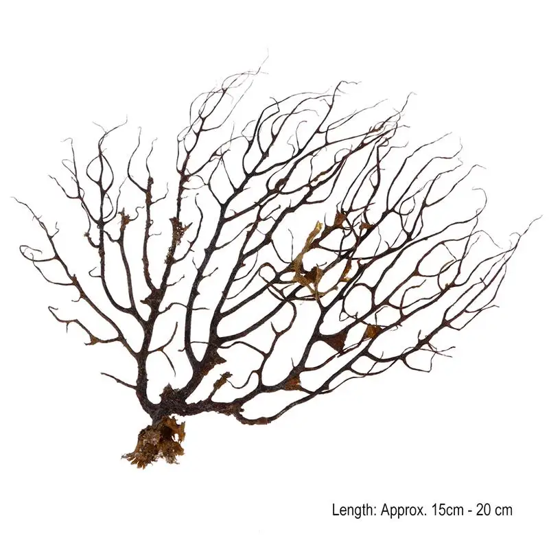 Веер для Черного моря украшение аквариума искусственные растения | Дом и сад