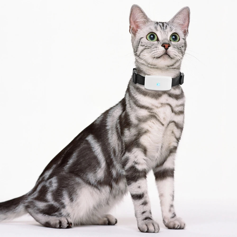 

Waterproof TK911 Mini Pet Cat Dog GPS Tracker Locator Small Tracking Device Real time Google Map Free Web APP Tack