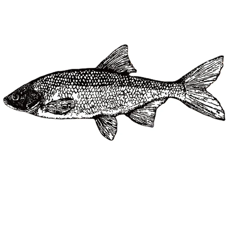 

New Arrival Black Fishing Fish Patches Iron on Patches Heat Transfer Pyrography Stickers for DIY T-Shirt Clothing Printing Decor