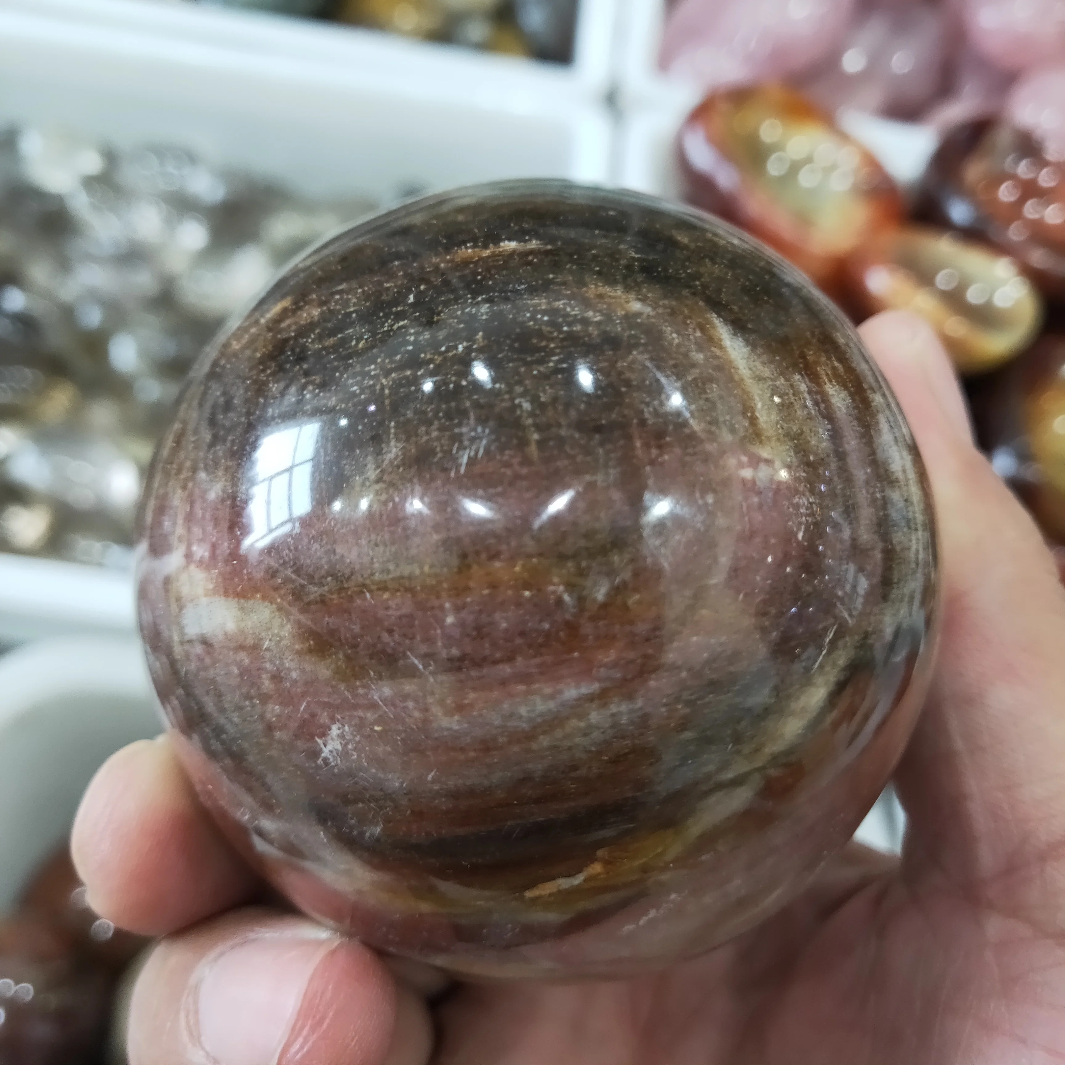 50-60 мм оптовая продажа низкая цена шар из натурального камня ископаемого дерева