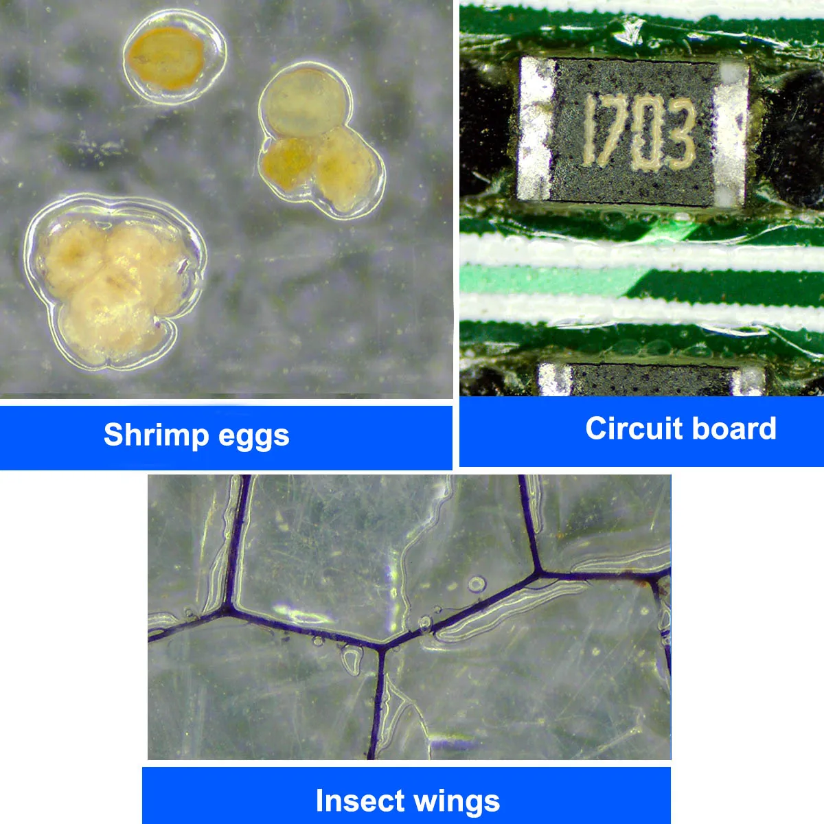 1080p 12MP 7 дюймов Экран Цифровые микроскопы эндоскоп Камера Microscopio светодиодный USB