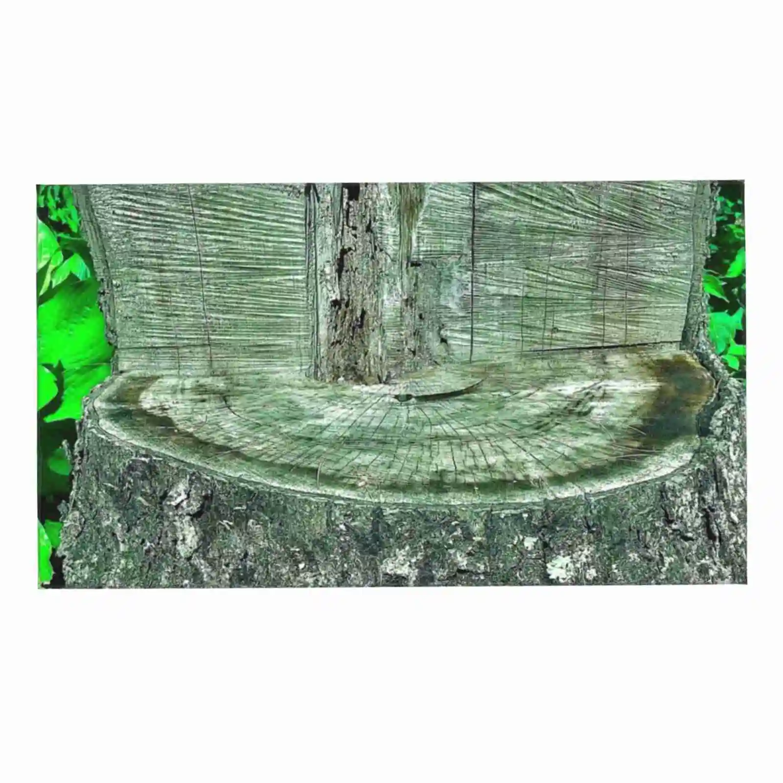 Tree Seat Washcloths Bathing Face Towel Ryan Garden Nature Wood Lumber Paper Brown Maple Cherry Forest | Дом и сад
