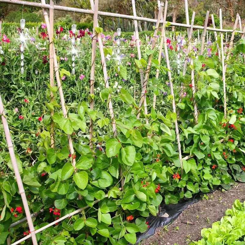 

Useful Bird Repeller Rotating Rod Reflective Wind Spiral Deterrent Control Device Agricultural Scare Bird Garden Ornaments