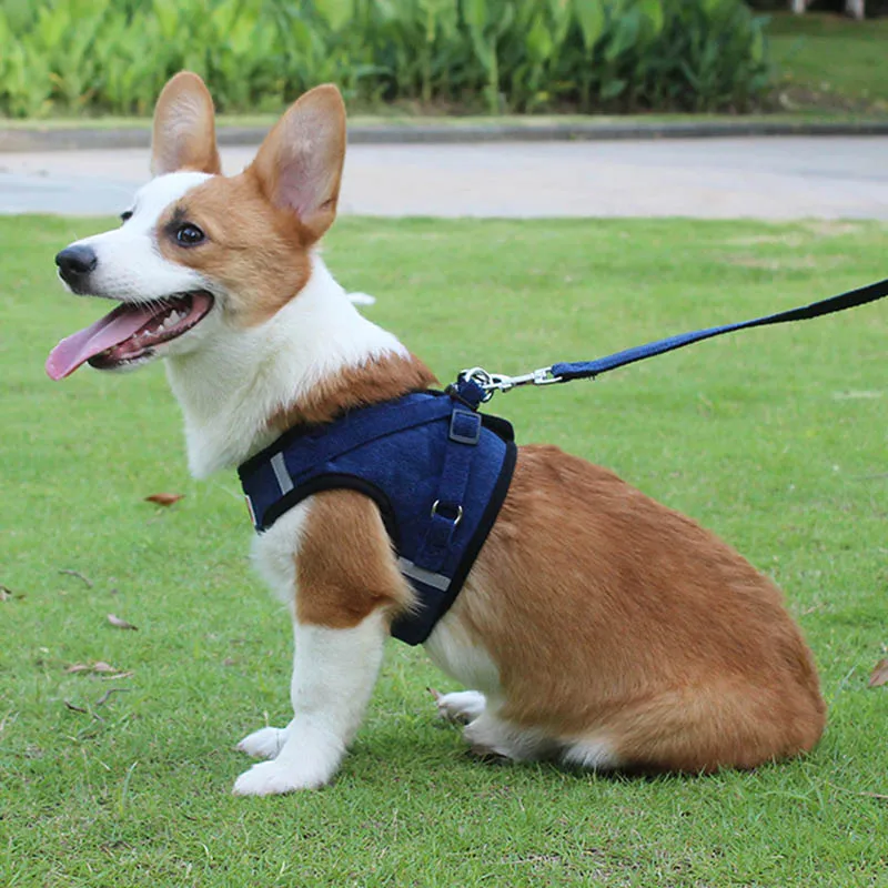 

Adjustable Dog Harness and Leash Set Puppy Cat Breathable Mesh Vest Chest Strap And Traction Rope Suit Pet Walking Supplies