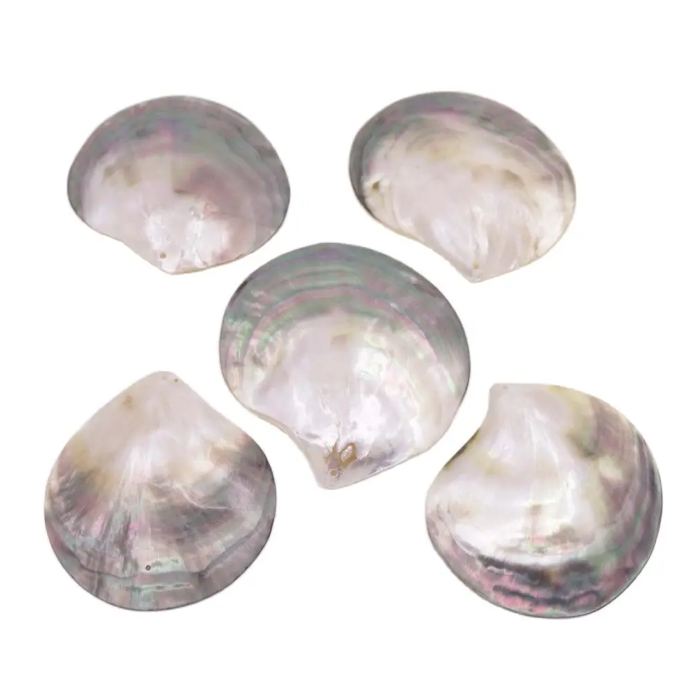 

5 PCS Natural Luster Shell 60-80mm Mother of Pearl Jewelry Making DIY Pendants