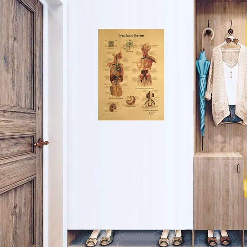 Иллюстрация человеческого тела лимфатическая система крафт-бумага Ретро плакат