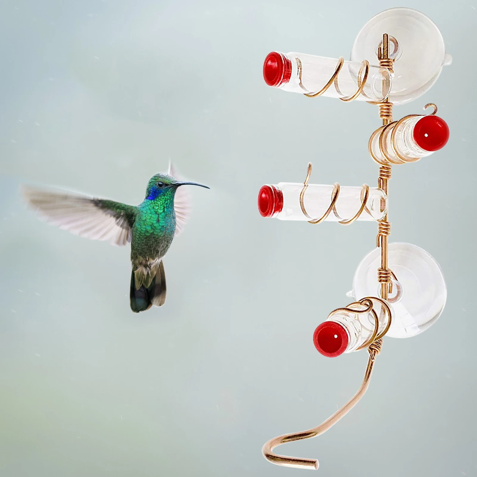 

Bird Feeder Bird Feeding Tool Suction-cup Hummingbird Feeder Creative Bird Feeder Suction Cup Bird Feeder