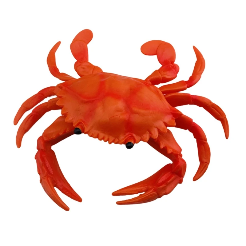 

Simulation Crab Model Early Childhood Education Cognitive Voice Pinching Music Develop Intelligence and Expand Thinking