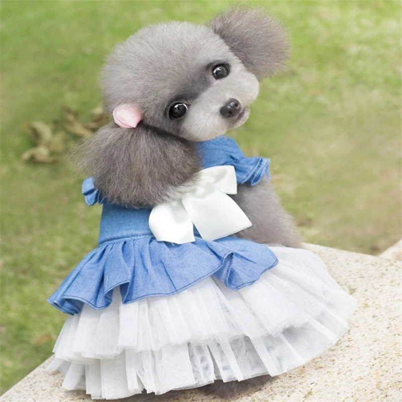 Одежда с принтом в виде собак Щенок Юбка домашних животных Корейском стиле