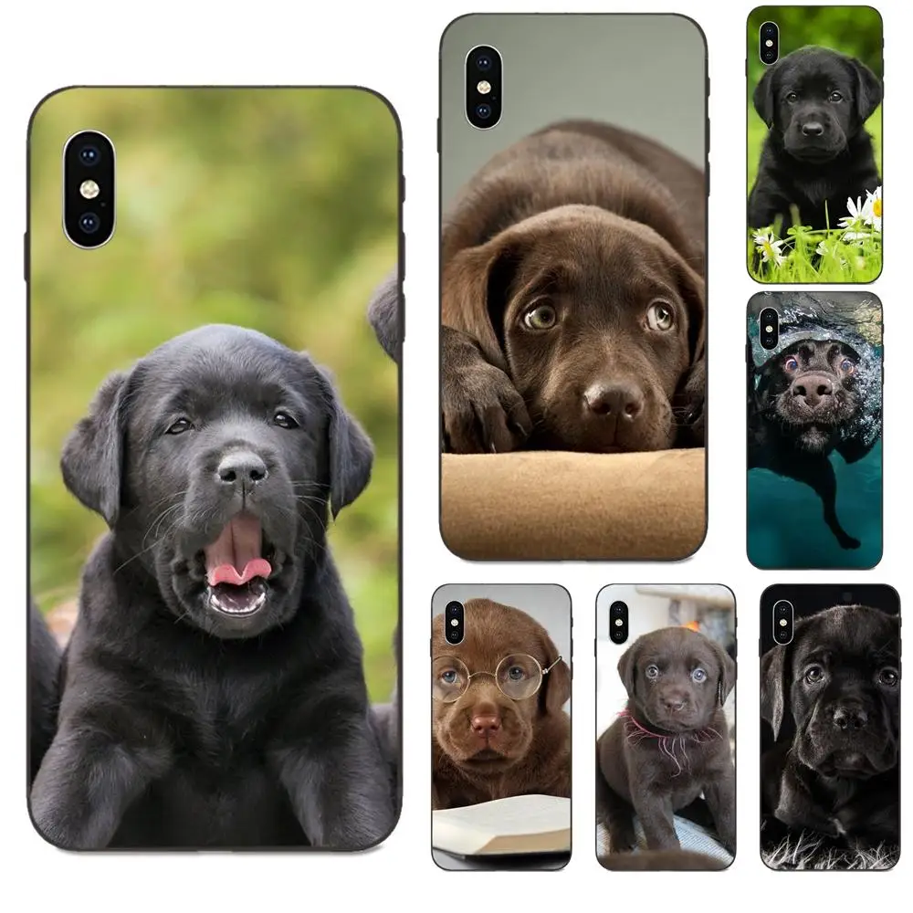 Черный лабрадор щенков собак для Galaxy A10S A20S A2 Core A30S A40S A50S A70S A90 5G M10 M30S M40 Примечание 10