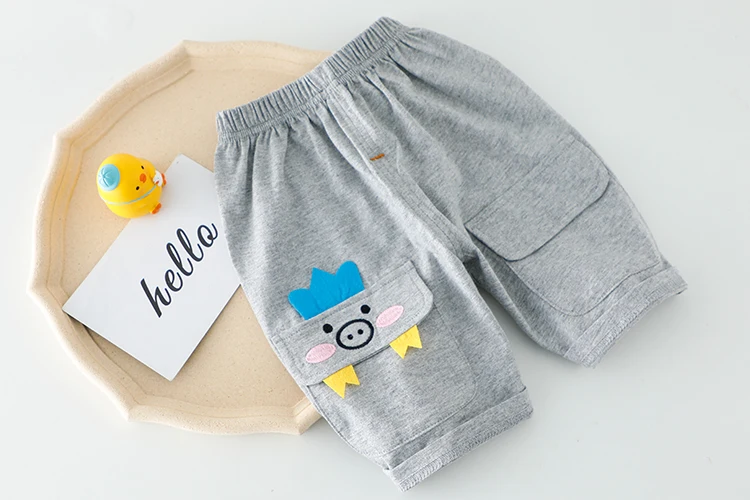 

Summer Piggy Pattern Clothes A 2-Piece Set of Cute Cartoon short-sleeved shorts Boy Fashion suit Casual novelty