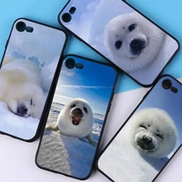 yndfcnb baby harp seal sea lion phone case for iphone 11 12 13 mini pro xs max 8 7 6 6s plus x 5s se 2020 xr cover