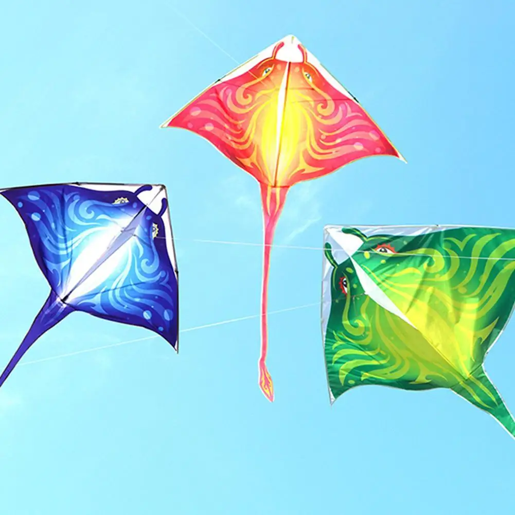 

Mysterious Flying Fish Kite Nylon Fabric Kite Long Outdoor Child Random Tail Tool Flying Adult Entertainment Color Sports K8K6