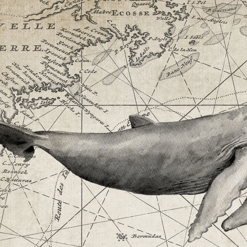 Винтажный постер с изображением Кита Морской Декор живопись на холсте настенное