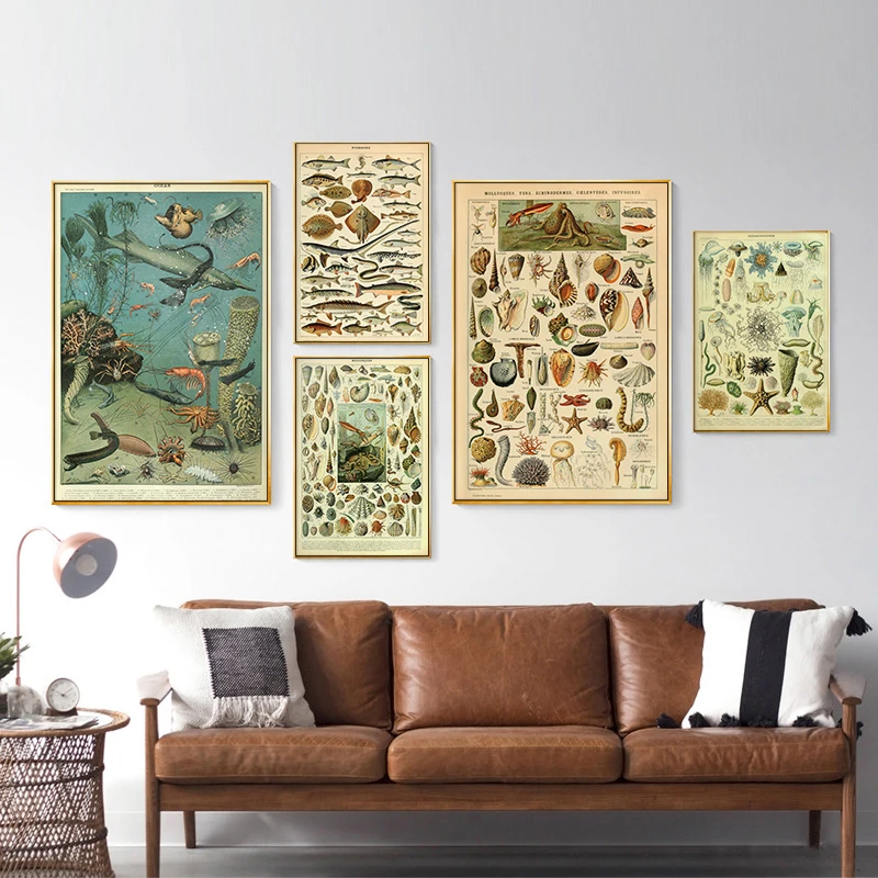 

Vintage Marine Life Poster Seashell Fish Starfish Painting Retro Education Wall Art for Kid Living Room Home Decorative Picture