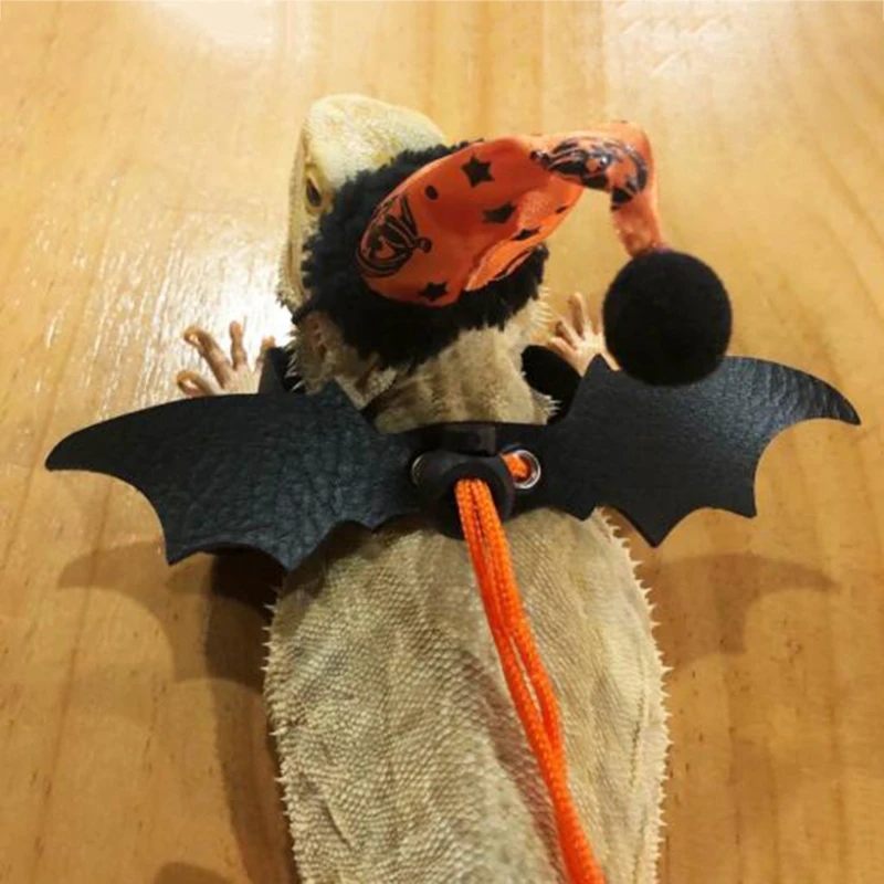 Лидер продаж поводок и шапка в виде ящерицы рептилии медвежьего дракона с крылом