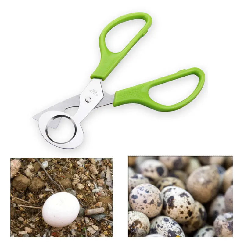 Голубь перепелиное яйцо ножничный резак для птицы нож кухонный инструмент
