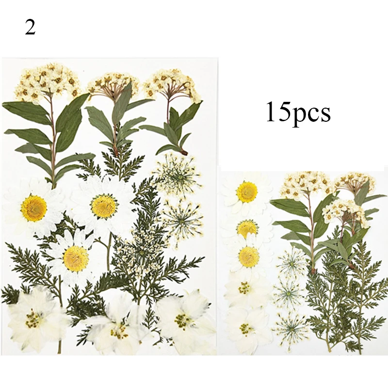 

1 Pack Real Dried Flower Dry Plants For Aromatherapy Candle Epoxy Resin Pendant Necklace Jewelry Making Craft DIY Accessories