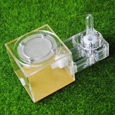 Мини Акриловые и гипсовые муравьиные фермы Муравьиное Гнездо дом для молодых