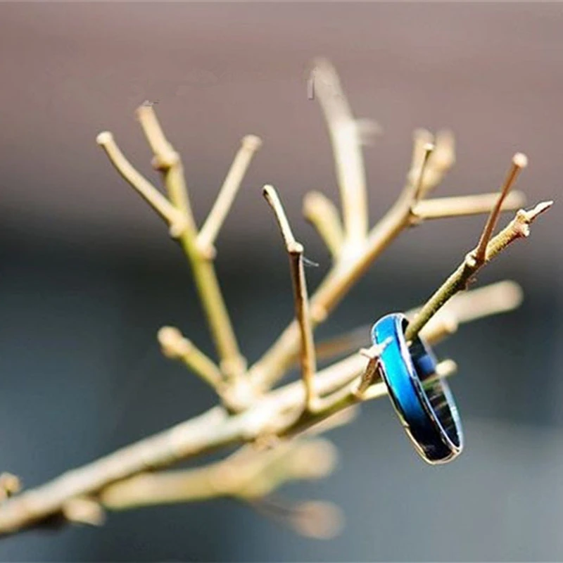 Классическое кольцо с изменением цвета при температуре шириной 4/6 мм лидер