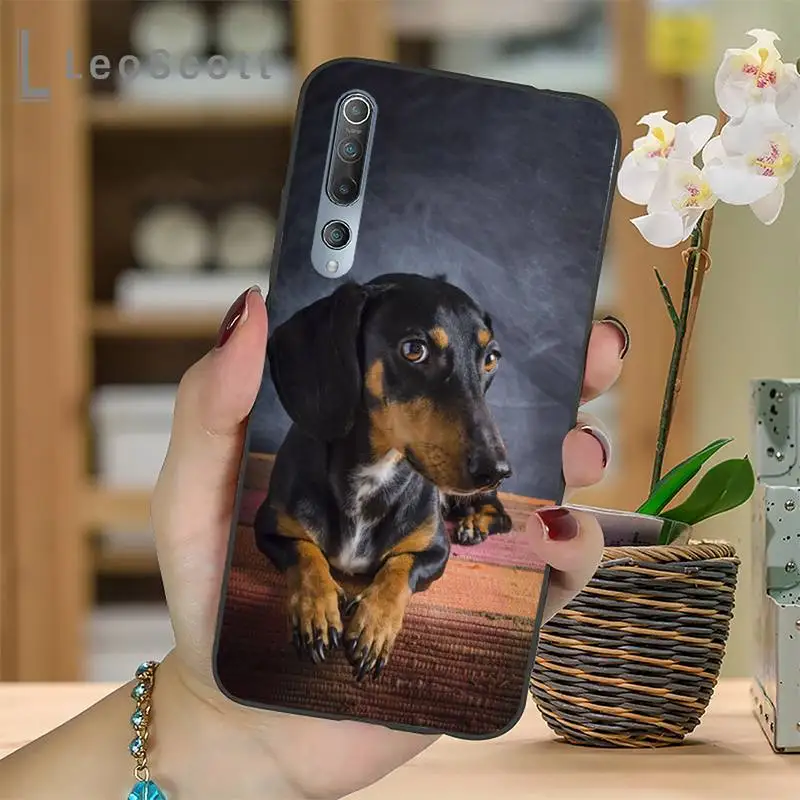 

Funny dachshund dog Phone Case For Xiaomi Redmi note 4 4X 8T 9 9s 10 K20 K30 cc9 9t pro lite max