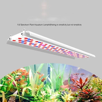 New thin and light  1000W plant light aquarium lamp white 300W red and blue full spectrum led grow light