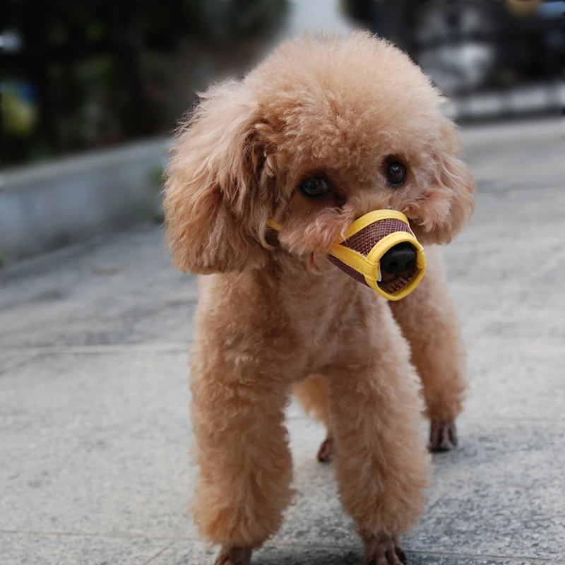 

Quality Portable Mesh Convenient Useful Pet Muzzle Durability Dog Anti-Bite Mask Items Multifunction Essential Tools Supplies