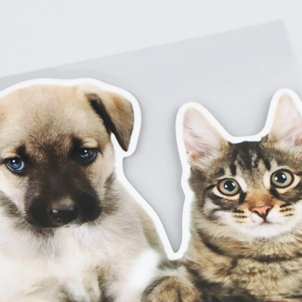 

YOJA 15.117.4CM Creative Cartoon Scratch Blocking Car Sticker Funny Cat And Dog Window Decoration 19B-0020