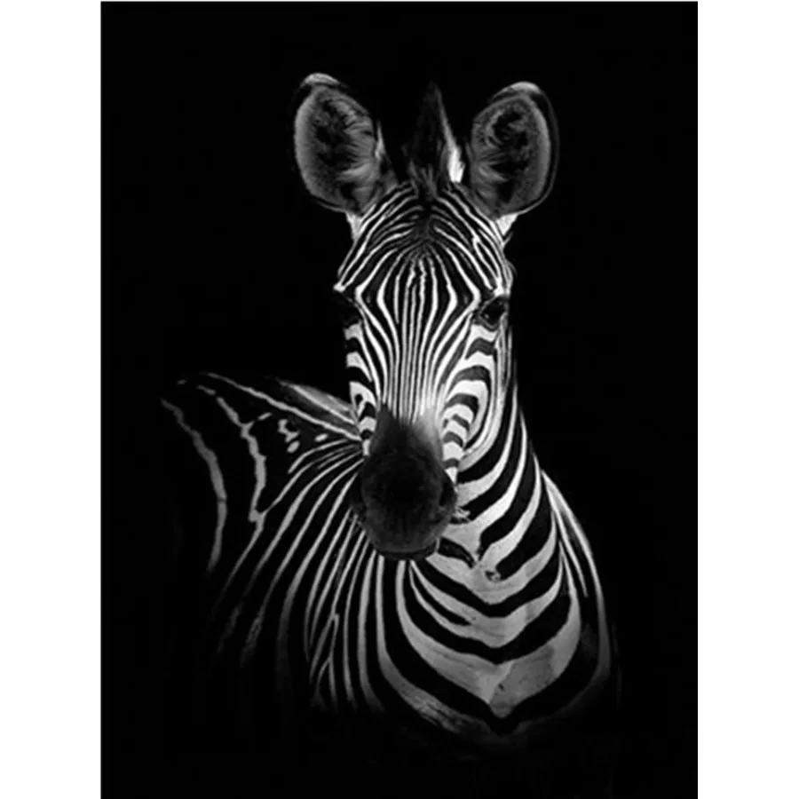 

Полноразмерная алмазная живопись, мозаика, вышивка крестиком, животное, 5D алмазная вышивка, Набор для творчества, картина для украшения дом...