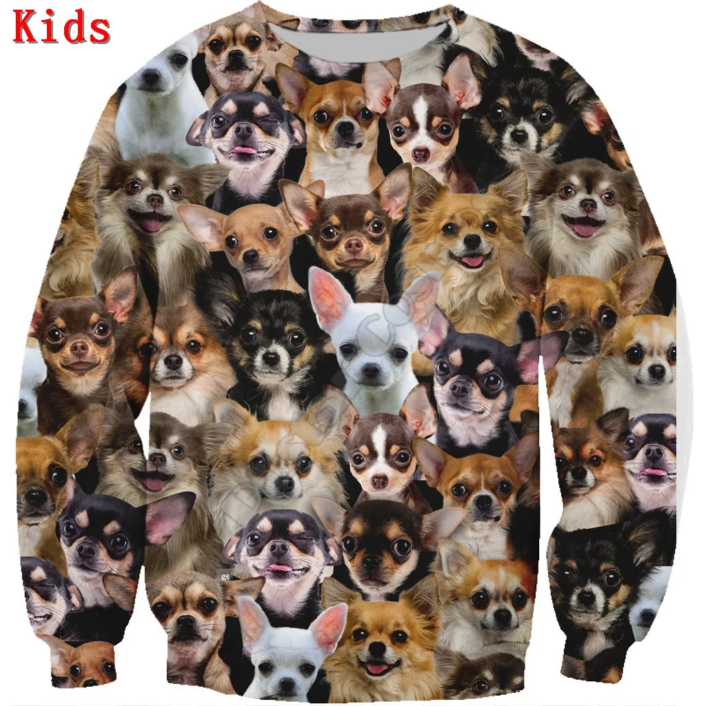 You Will Have A Bunch Of Dachshunds 3D printed Hoodies Boy Girl Long Sleeve Shirts Kids Funny Animal Sweatshirt