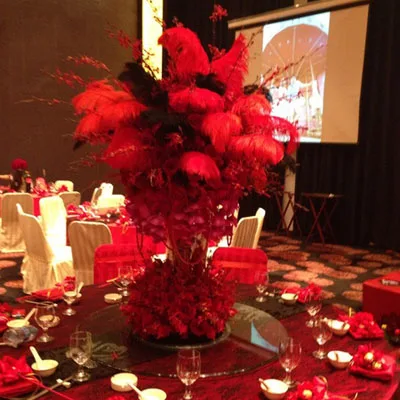 

100 Pcses/Lot 15-75CM Wholesale Natural Red Ostrich Feathers For Crafts Carnival Costumes Party Wedding Decorations Plumes