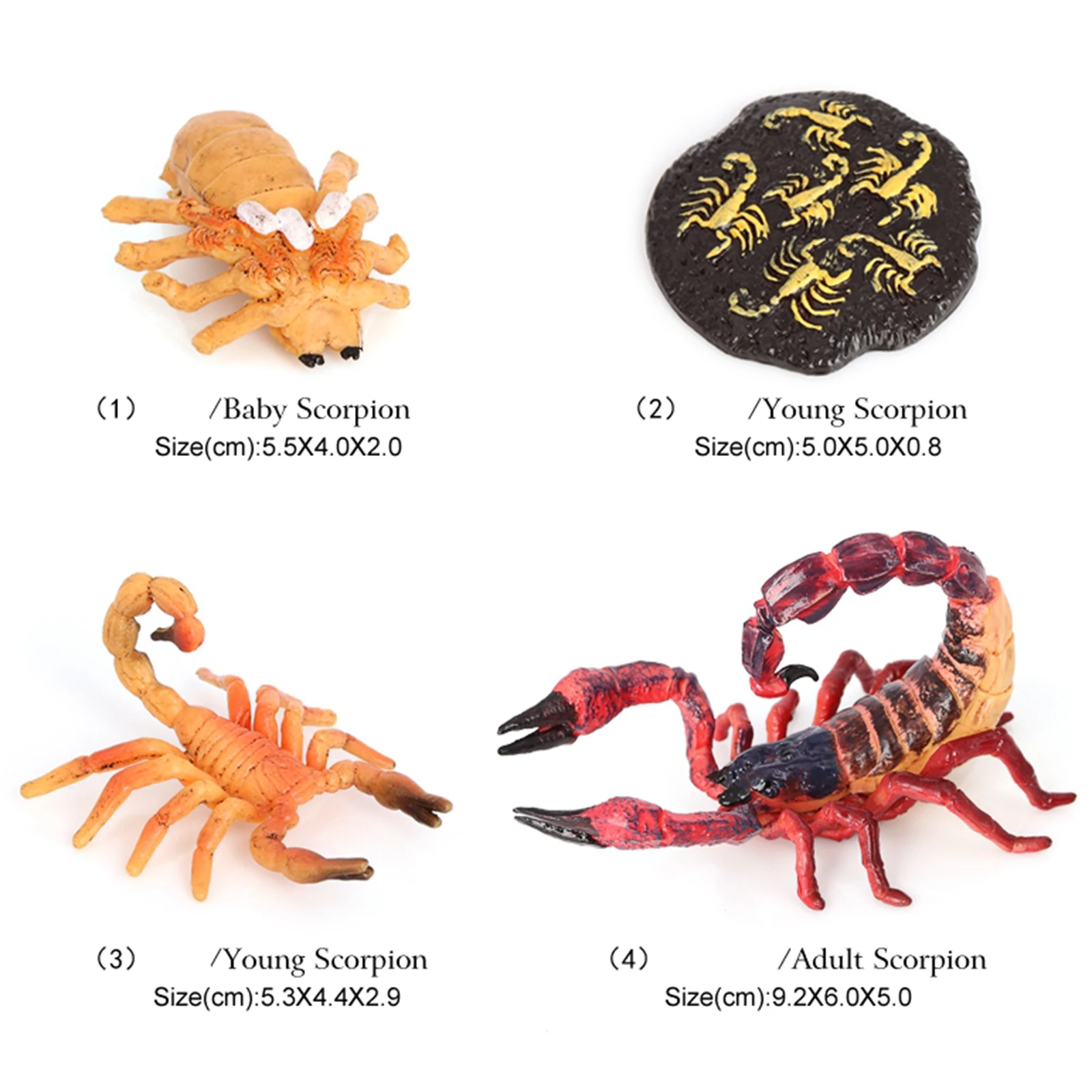 Набор детских моделей модели скорпиона из спасательного цикла Обучающие Детские