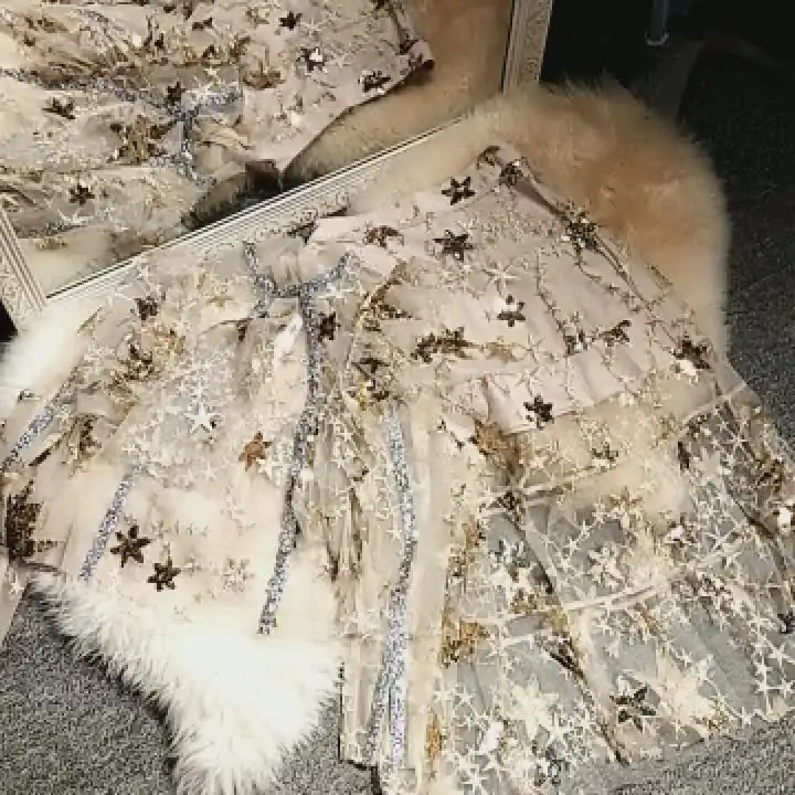 Женское платье с блестками длинная юбка золотыми звездами и жемчужинами в стиле