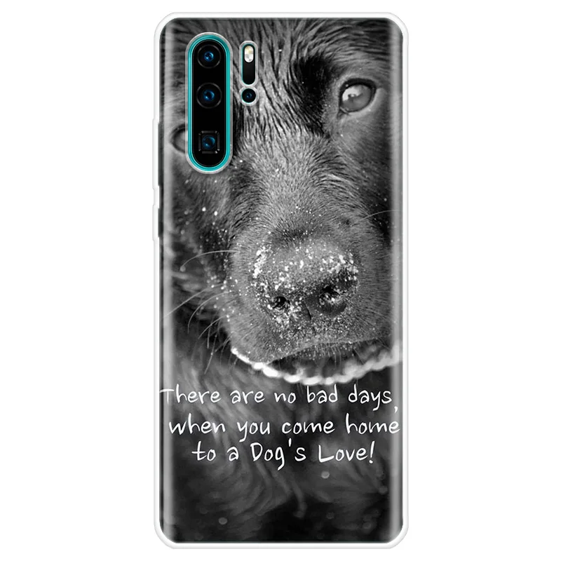 

Funny Dog Case For Huawei P40 Lite P10 P20 P30 Pro P Smart Z Y5 Y6 Y7 2019 Mate 20 Lite Back Cover For Honor 8S 10 20 Lite Case