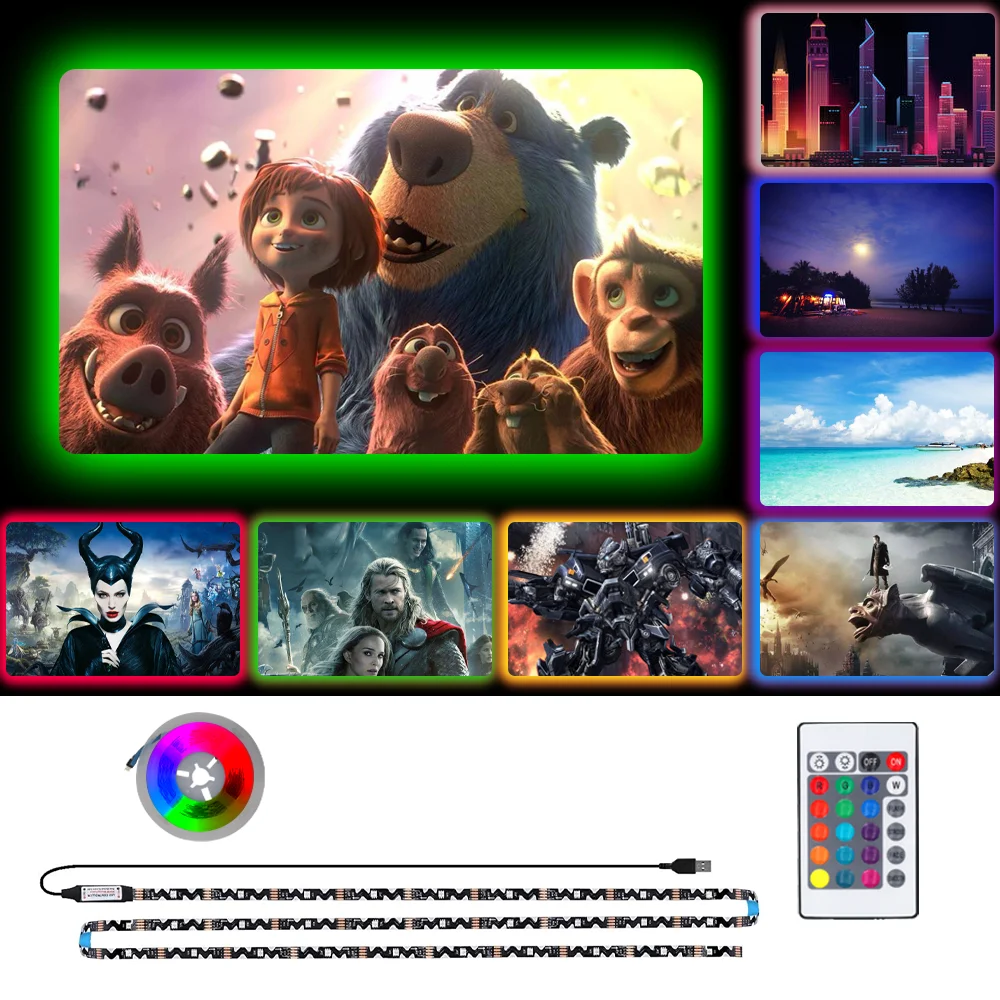 

Light Strip 24 Keys Remote Control Decor Colorful LED TV Background Lights 5V Flexible SMD5050 Changeable USB RGB Tape For PC