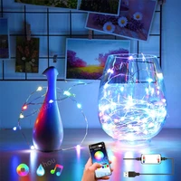 20m usb smart bluetooth led light string personalized rgb customized app remote control lamp gypsophila garland fairy light deco