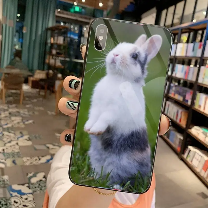 

Cute White Baby Rabbits Phone Case Tempered glass For iphone 5C 6 6S 7 8 plus X XS XR 11 PRO MAX