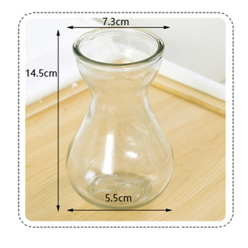 Стеклянная ваза креативная маленькая гидропонная стеклянная бутылка для