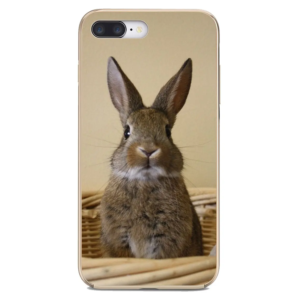 Rabbit Soft Case Covers For BQ Aquaris C U2 U V X2 X Lite Pro Plus M E4.5 X5 E5 4G 2017 S 5059 6040L | Мобильные телефоны и