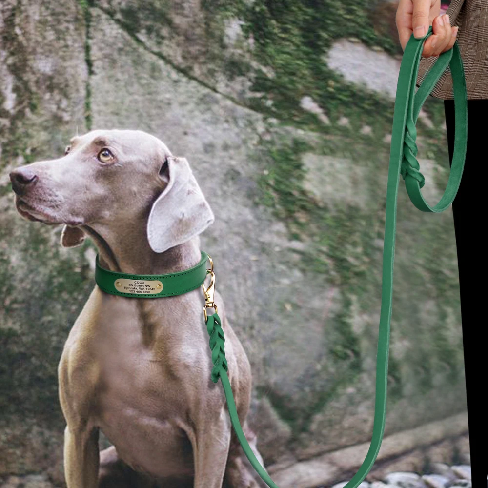 Ошейник из натуральной кожи под заказ персонализированный поводок для собак