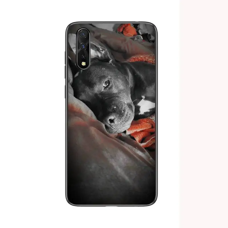 

Pit Bull Lovely Pet Dog Phone Case for redmi 6A 4X 7 7A 9 8A 5Plus Note 4 5 7 8T 9pro cover