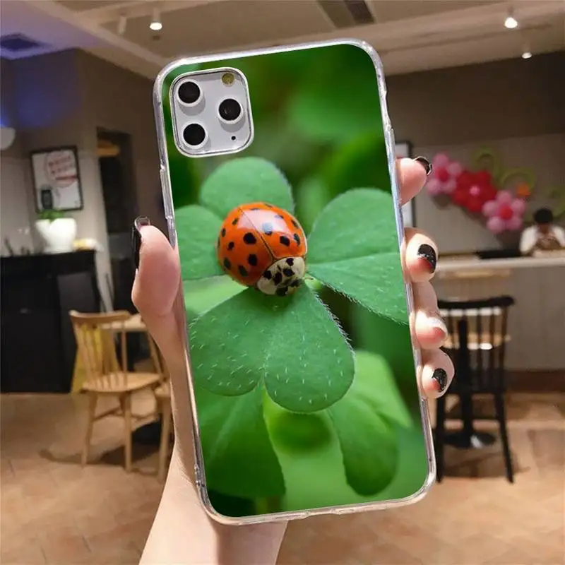 

Leaf ladybug daisy animal Phone Case Transparent for iPhone 6 7 8 11 12 s mini pro X XS XR MAX Plus