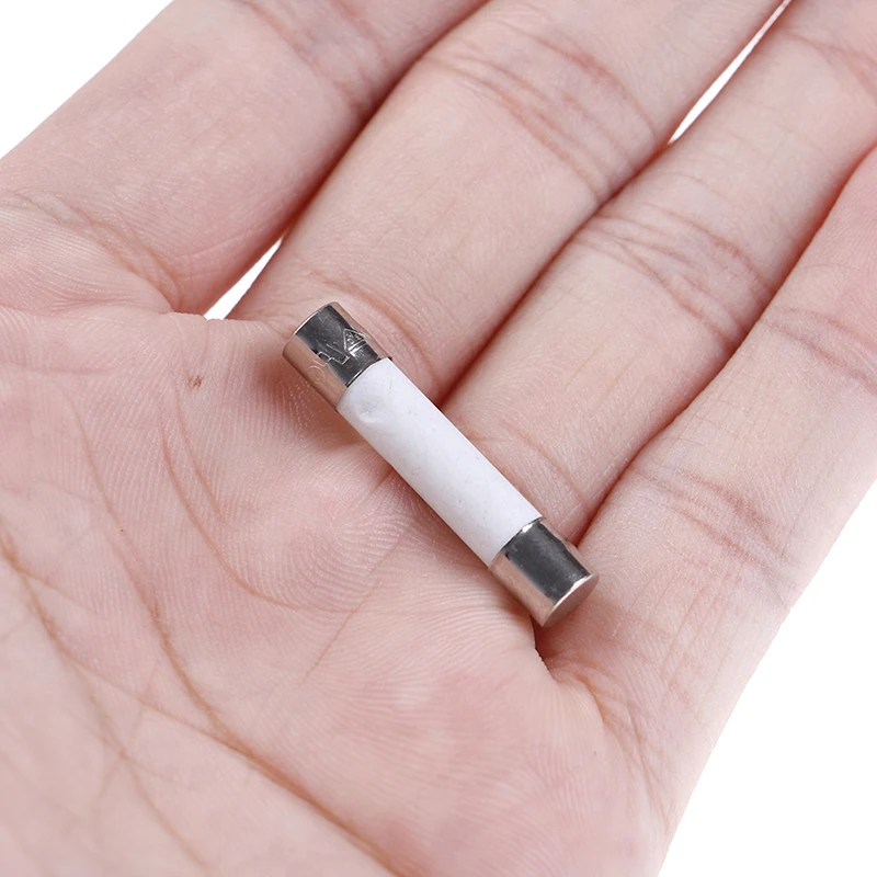 

10Pcs/lot Microwave Ceramic Fuse Electric 20A 250V Home Supplies DIY 6x30mm