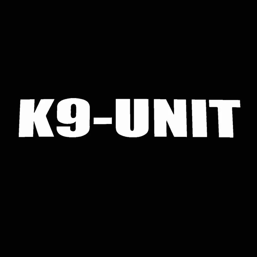 2019 Новинка оптовая продажа K9 Unit автомобиля Стайлинг кузова окна отражающие