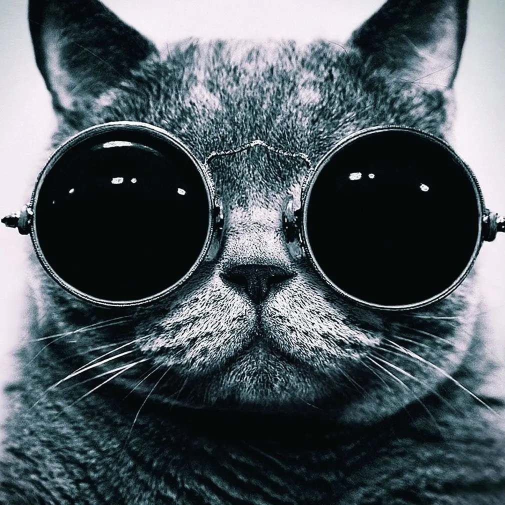 Stylish Cat Pattern Anti-Slip Laptop PC Mice Pad Mat Mousepad For Optical Laser Mouse Comfortable Cute Gaming |