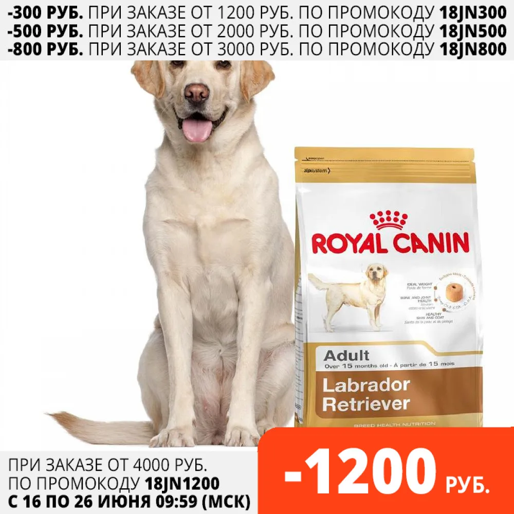 Royal Canin Labrador Retriever Adult корм для собак породы лабрадор 3 кг|Сухой собак| |